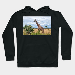 African Wildlife Giraffe Hoodie